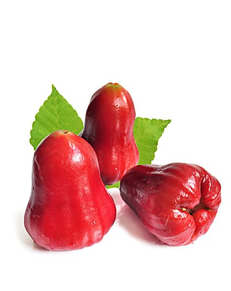 台湾农场直供黑钻石莲雾-唯品会