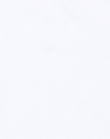 女款闪粉字母印图白色短袖t恤