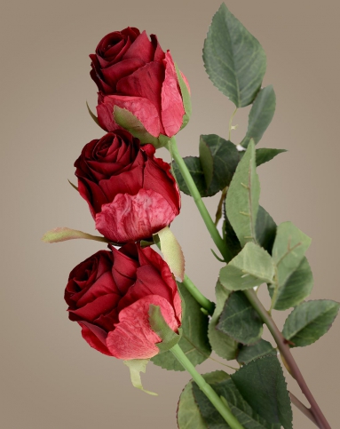 仿真花单短枝德国玫瑰(红色)3枝