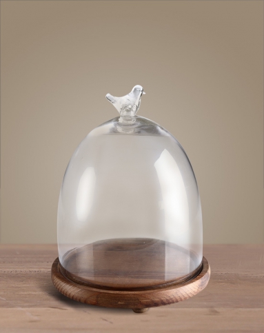 小鸟透明实木底座玻璃罩(特大号)